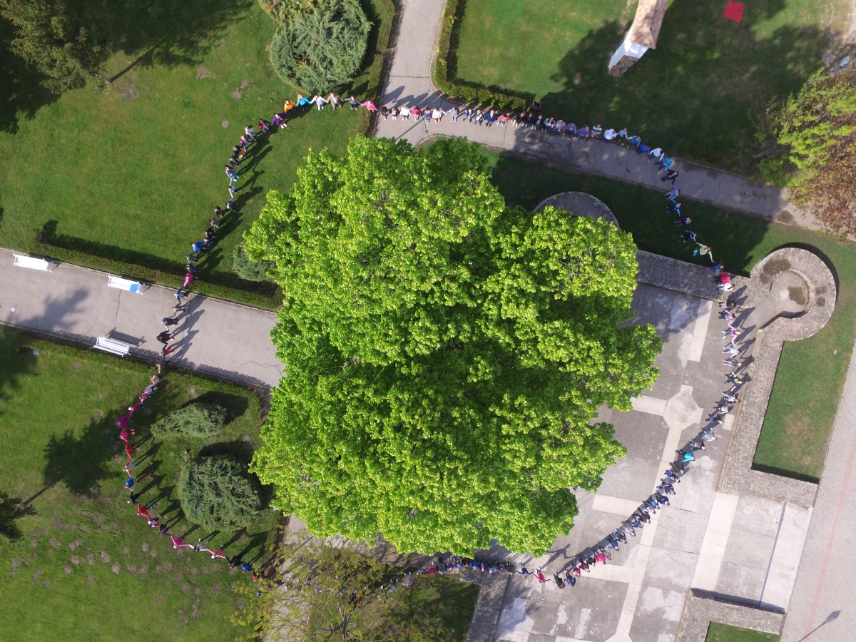 DJI 0013