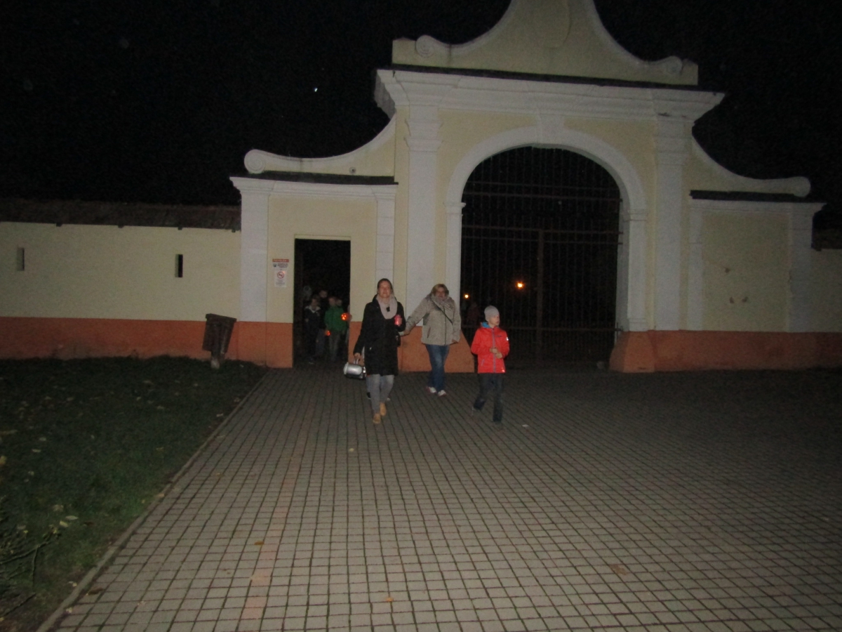 IMG 0920