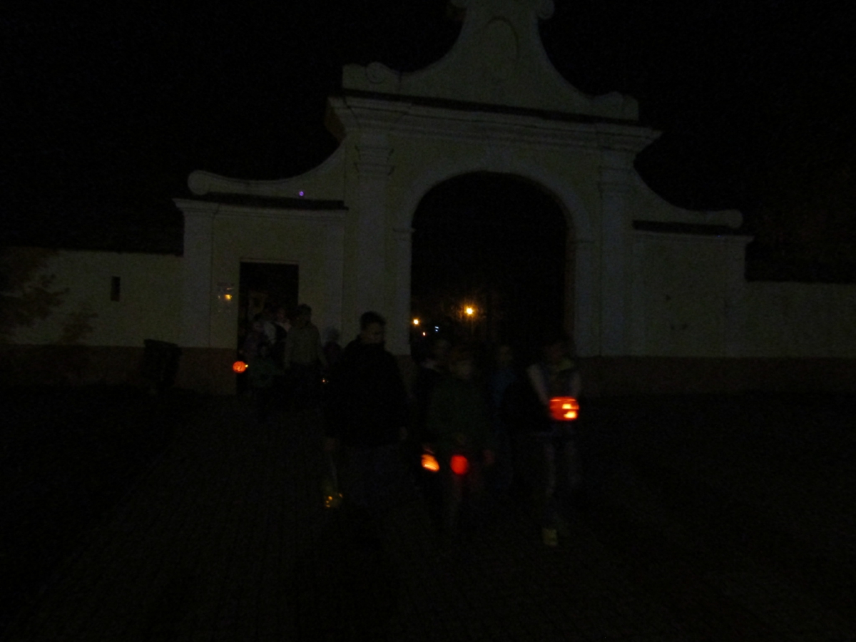 IMG 0921