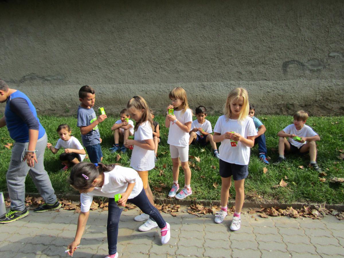 IMG 2563