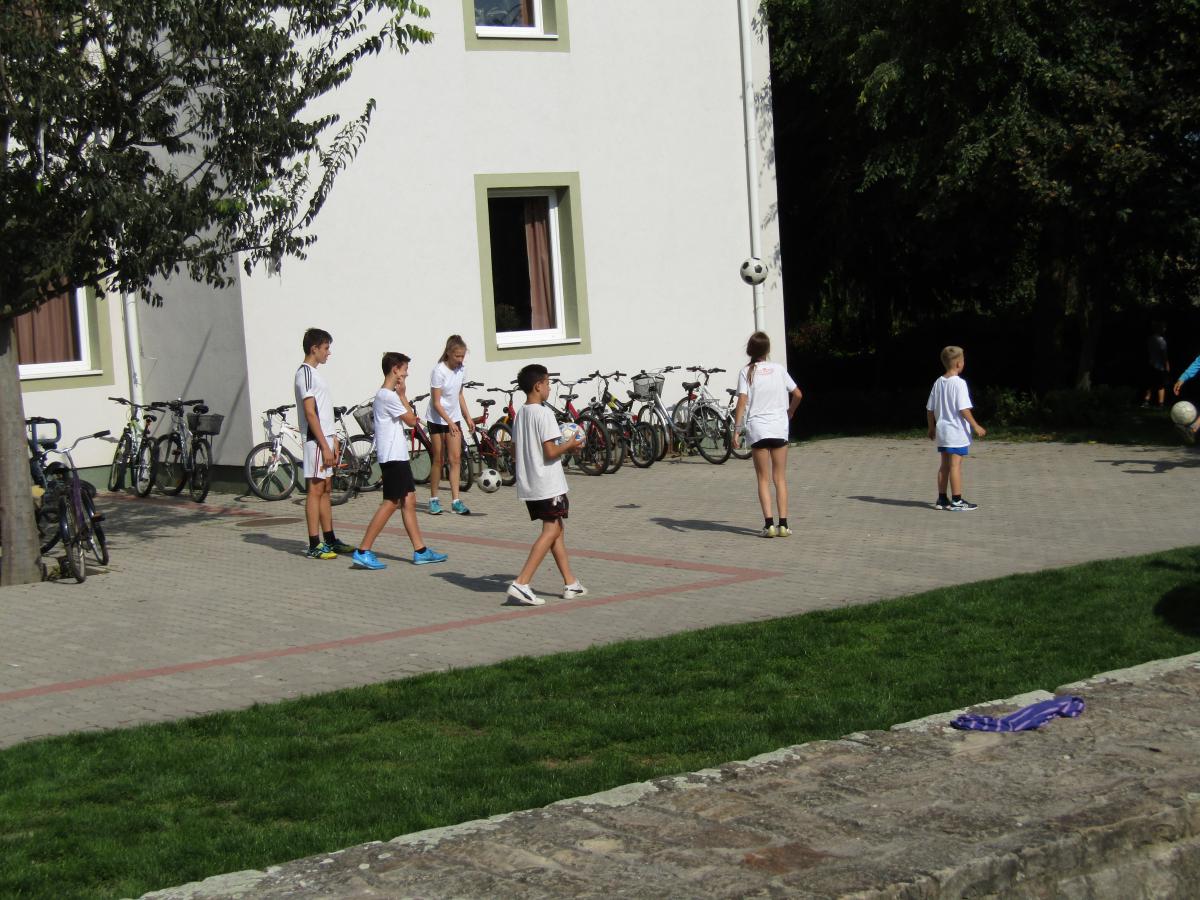 IMG 2631