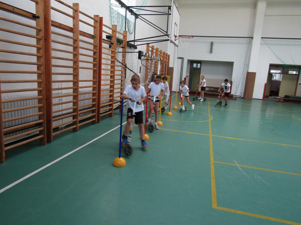 IMG 2668