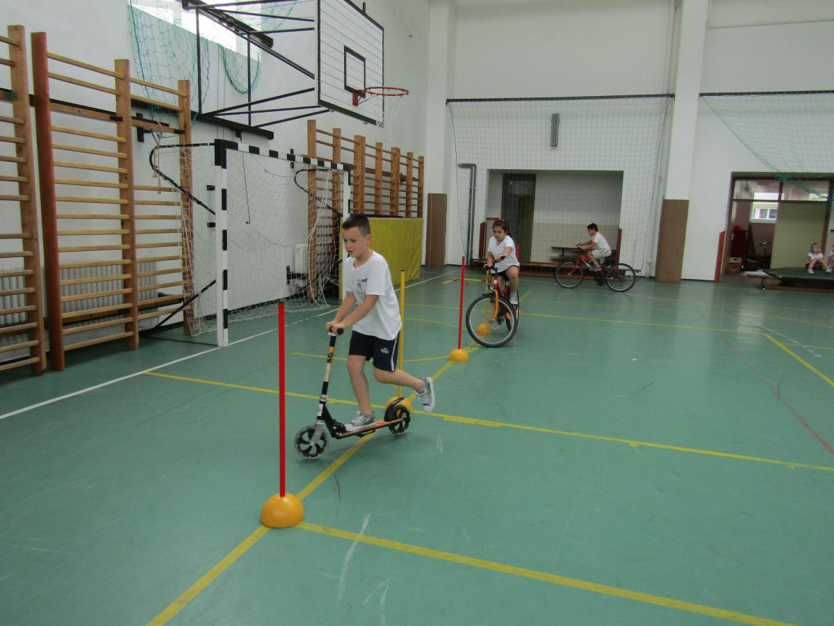 IMG 2678