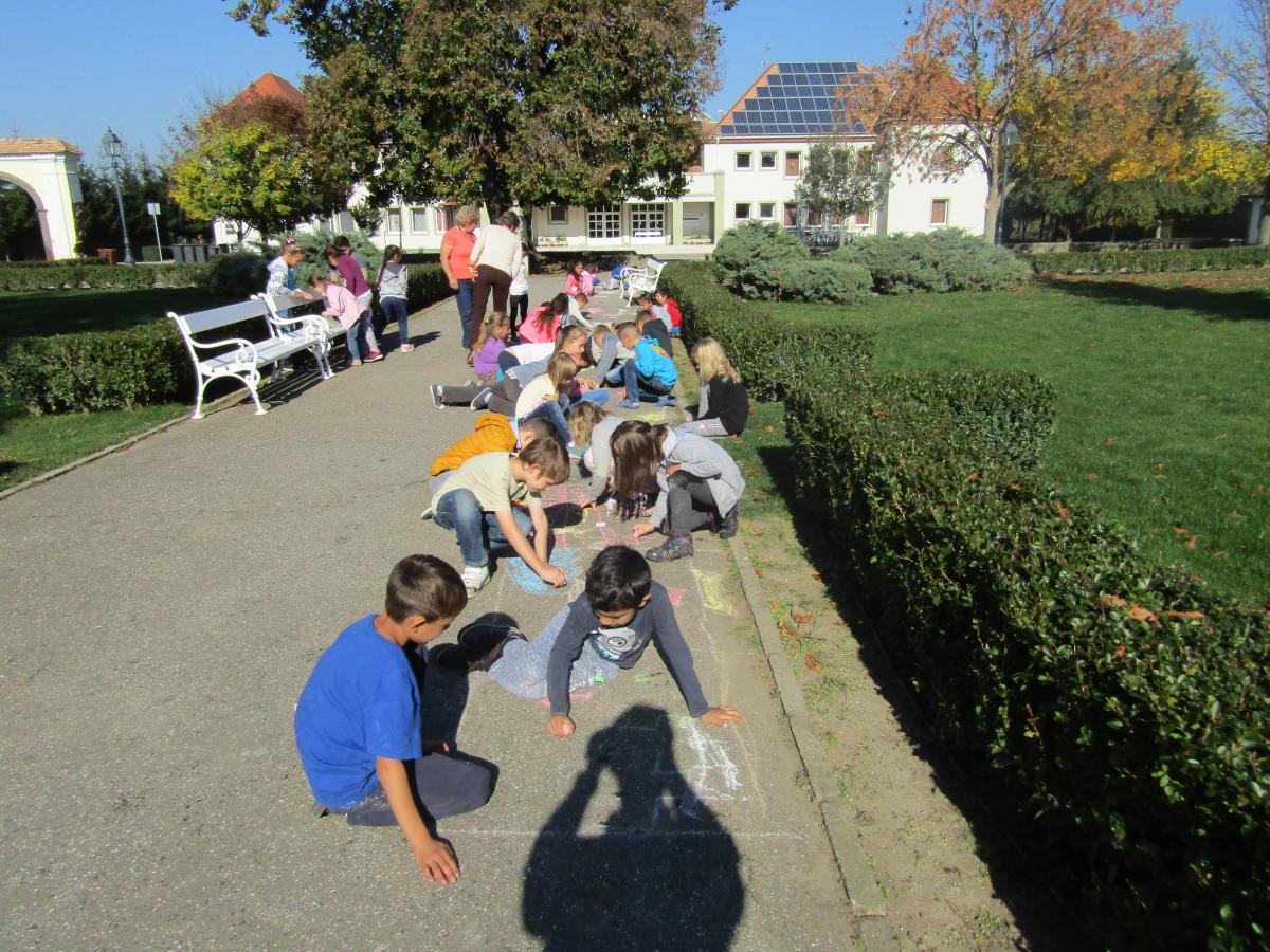 IMG 2685