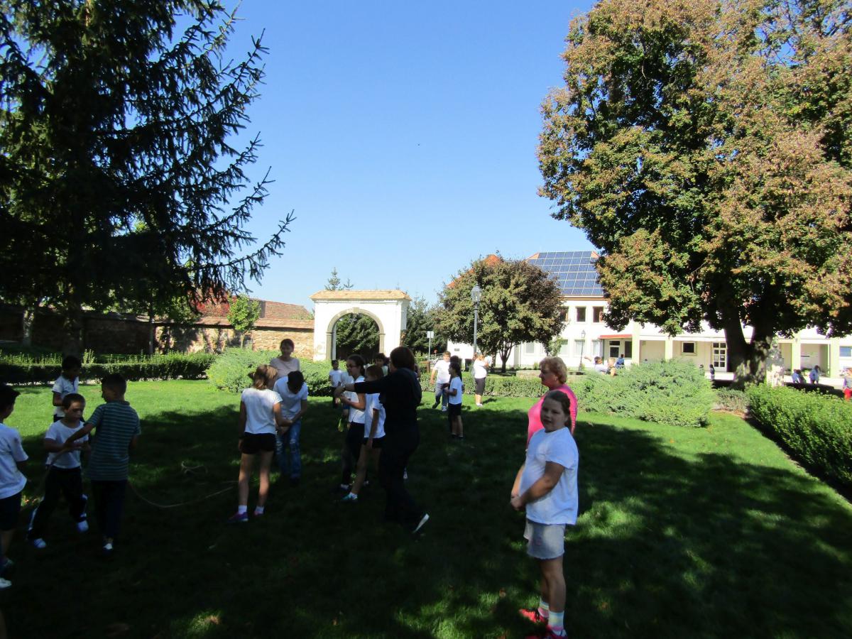 IMG 4506