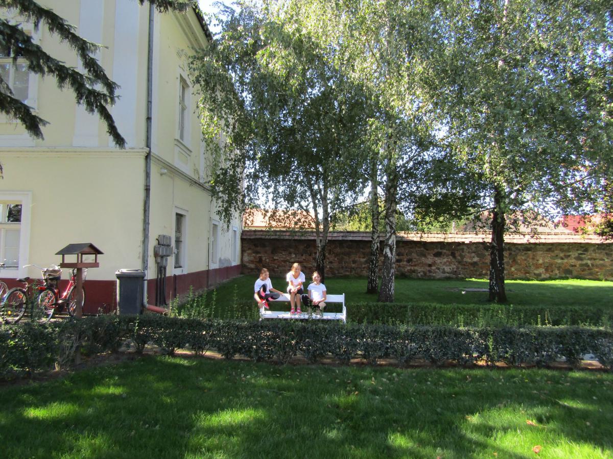 IMG 4507