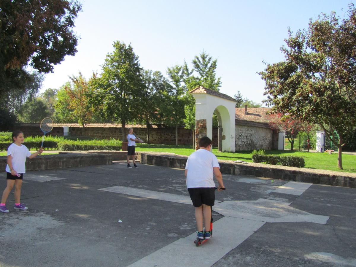 IMG 4511