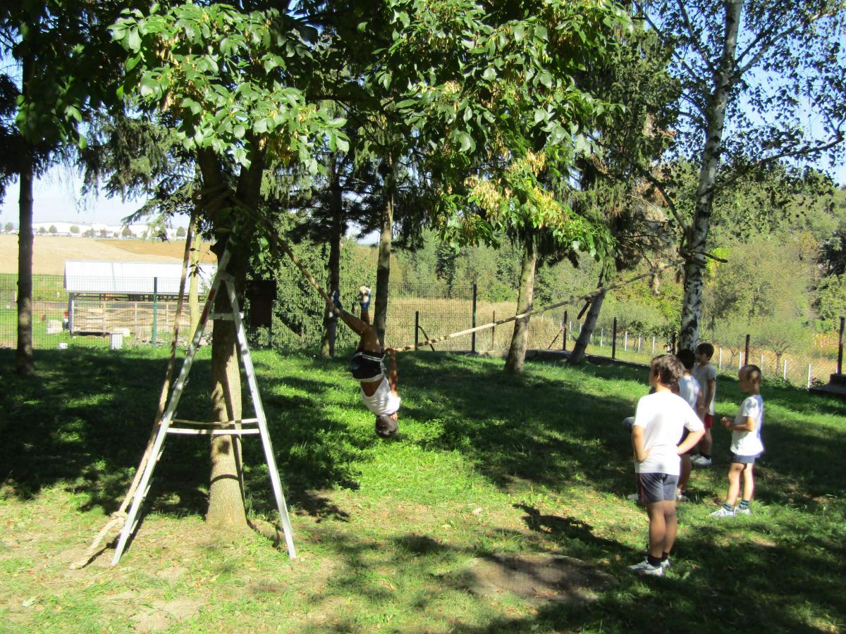 IMG 4512