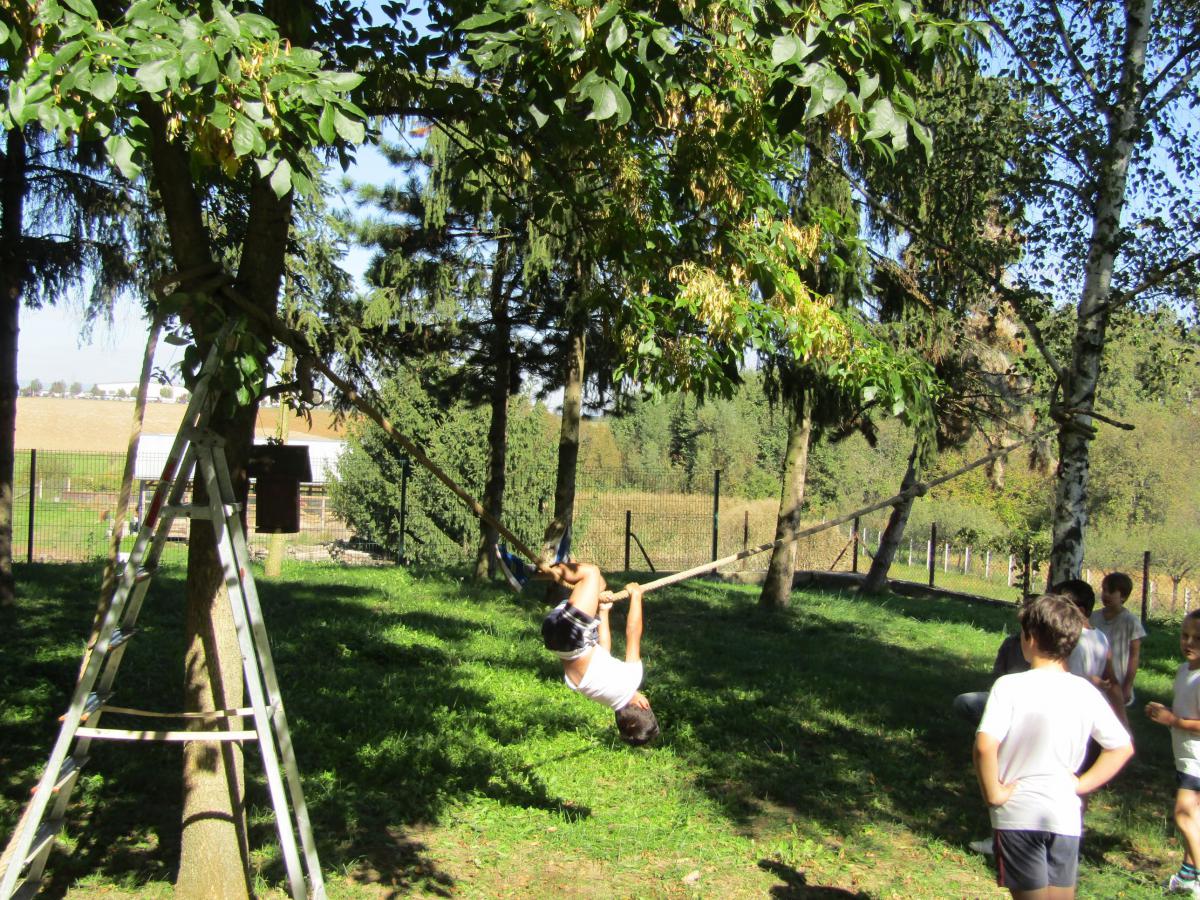 IMG 4513