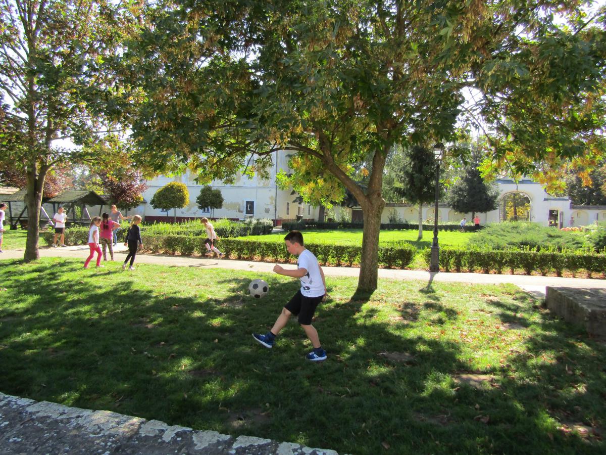 IMG 4520