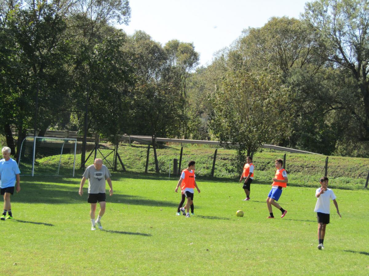 IMG 4522