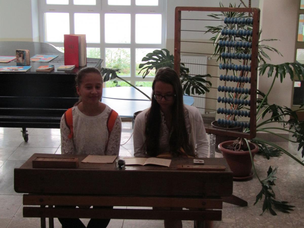 IMG 4561