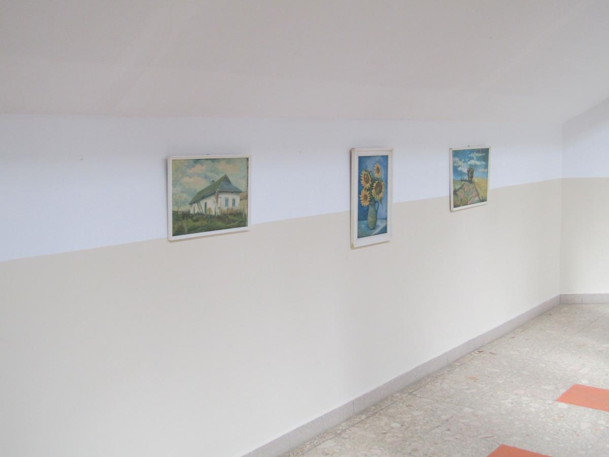 IMG 4567