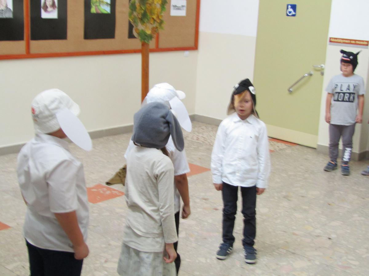 IMG 4703