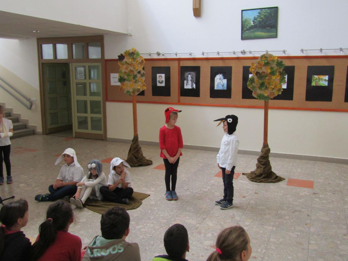 IMG 4705