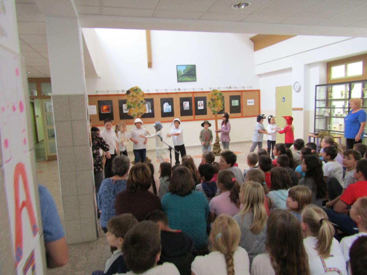 IMG 4711